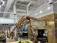 -FAIRYLAND龙族星球主题餐厅(凯丹广场店)