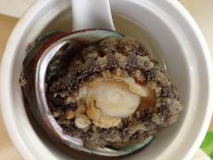 鲍鱼-海岛渔村大酒店(云霄路店)