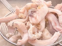 -正能量脆肉鲩火锅