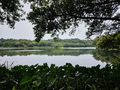 -茅家埠
