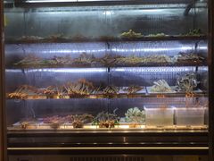 -乐乐姐超级土豆(中关村5号店)