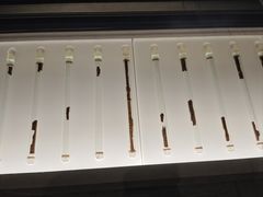 -银雀山汉墓竹简博物馆
