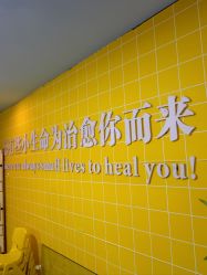 点击看大图 -神奇动物撸宠馆·羊驼·小浣熊·异宠(豫园店)
