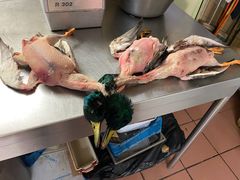 -ResTaurAnt S'ZWILLING Stuebel