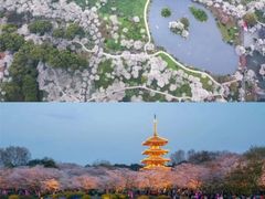 -东湖生态旅游风景区