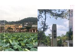 -南山植物园