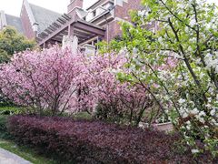 小区环境-长泰东郊御园