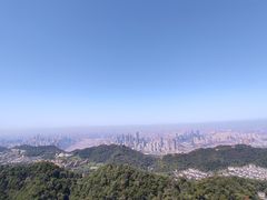 -大金鹰园