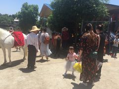 -大京袁记烤全羊农家(大京水库店)