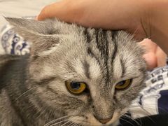 -永和大王(龙德广场店)