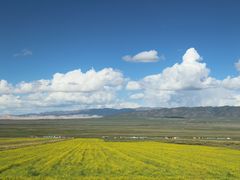 -青海湖国家重点风景名胜区
