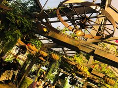 -The Grounds of Alexandria