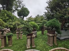 -拙政园