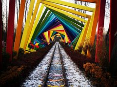 -合肥滨湖国家森林公园