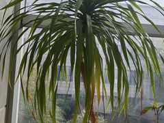 -沐春秋茶书院·茶室.茶馆.商务包房(知春路店)