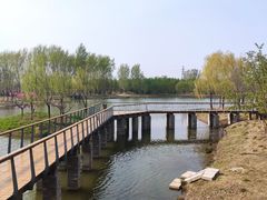 -东郊湿地公园