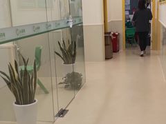 -小问号·科学启蒙·逻辑思维·阅读素养·口才演讲(杨浦合生汇中心)