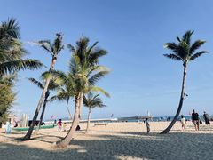 -清水湾旅游度假区
