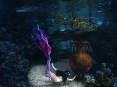 -太平洋海底世界