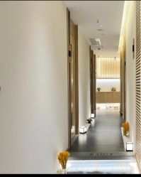 -汉棠汉方·美肤调体