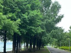 -苏州湾体育公园