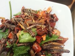 -云中鱼蒸汽石锅鱼(川沙百联店)