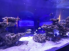 -上和臻品中国菜(花园街店)