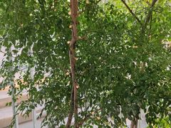 -时间仓(月湖公园店)