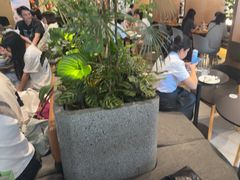 -gaga(深圳福田星河COCO Park店)