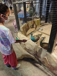 -酷嗒动物文化乐园(cutezoo西溪乐天城店)