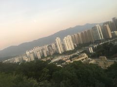 -金鸡山公园