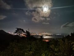 -三亚亚龙湾人间天堂鸟巢度假村