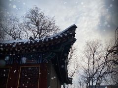 -荣国府