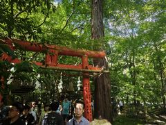 -野宫神社