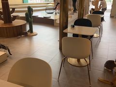 -飞行喵MR PILOT|猫舍·猫咖(静安大融城店)