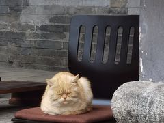 -赵尔巽公馆-旧址