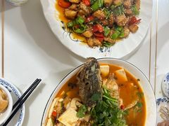 -煲来饱去冷水鱼