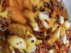 -雲蜀龙阁·金牌水煮鱼(方庄店)