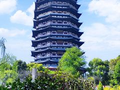 -红梅公园