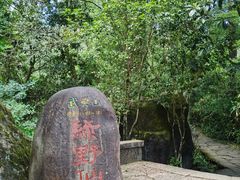 -武夷山风景名胜区-玉女峰