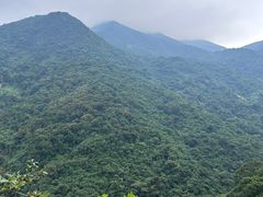 -梧桐山风景名胜区