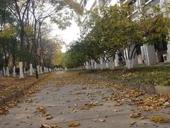 -江南大学(蠡湖校区)
