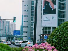 -万达影城(闵行颛桥万达广场杜比影院店)