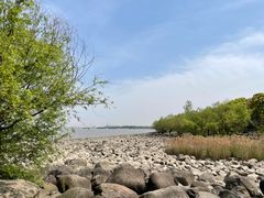 -上海吴淞炮台湾国家湿地公园