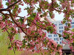 -元大都城垣遗址公园