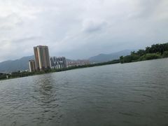 -飞来湖湿地公园