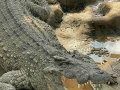 -石家庄市动物园