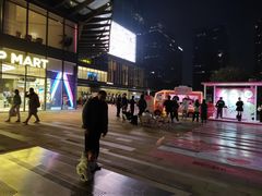 -合景·悠方(成都店)