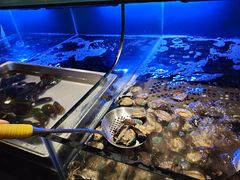 水产区-喜庭海鲜自助(来福士店)