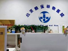 -酷宠动物医院(天通西苑店)